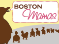 Boston Momas